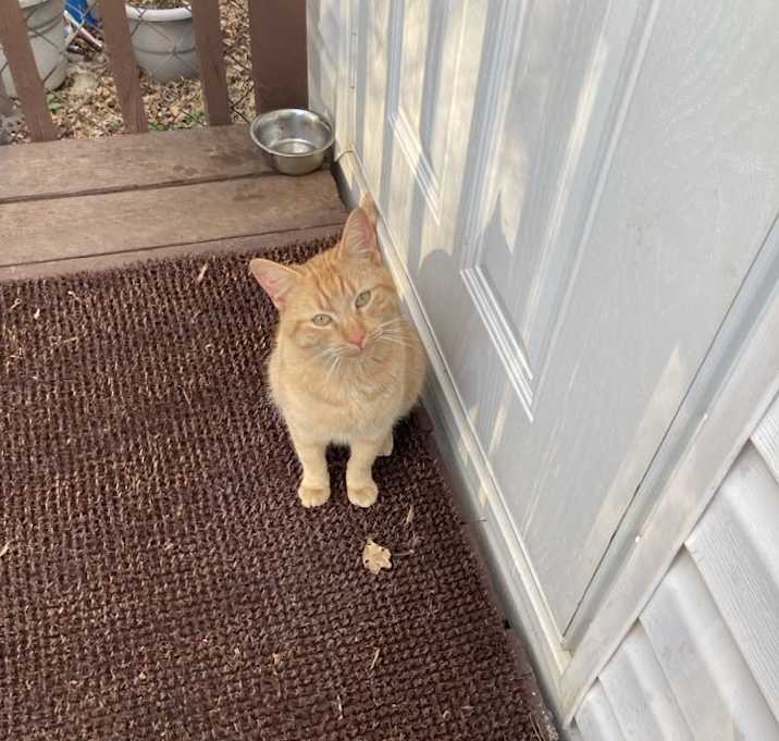 Photo of Garfield