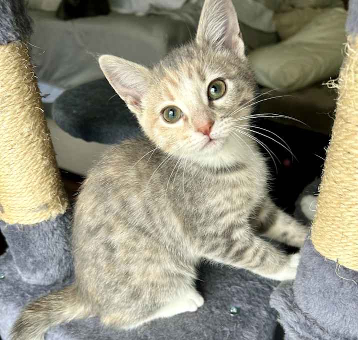 Photo of Holly