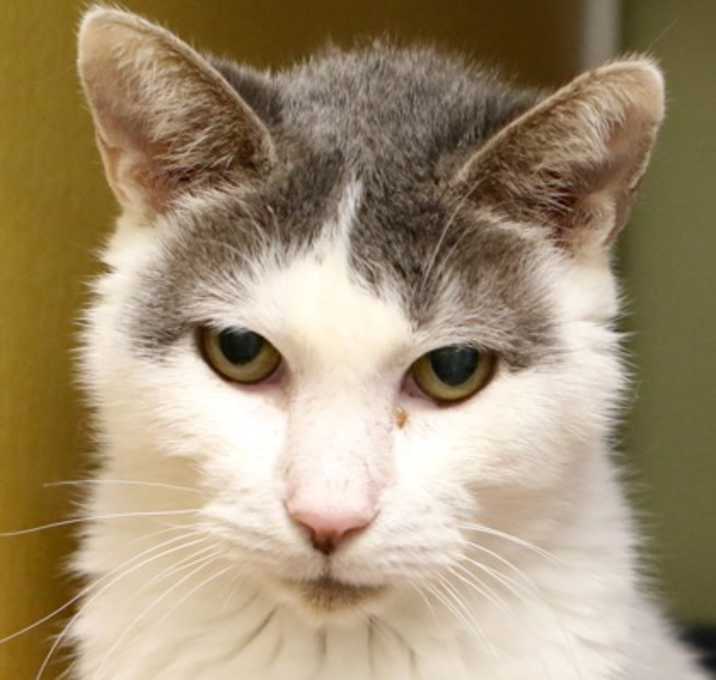 Photo of Key - Available in Foster