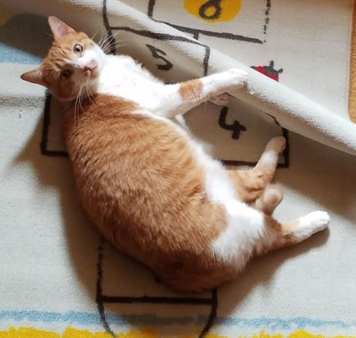Photo of Opei