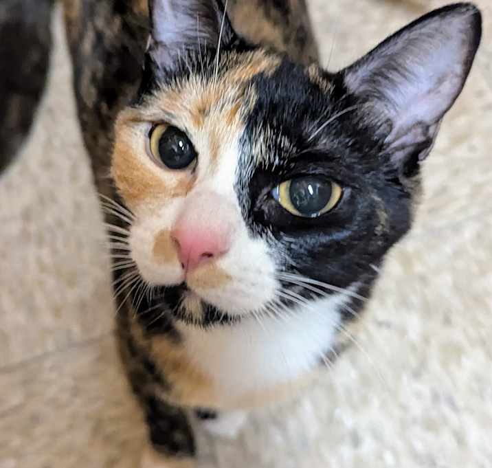 Photo of Samantha