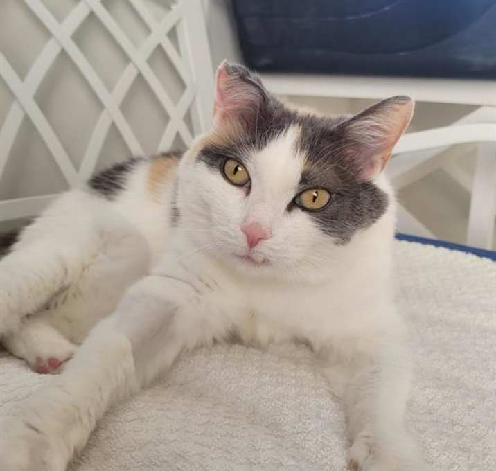 Photo of PRINCESS PEACHES