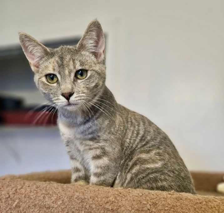 Photo of Hurricane
