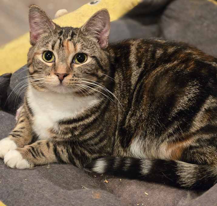 Photo of Ramona