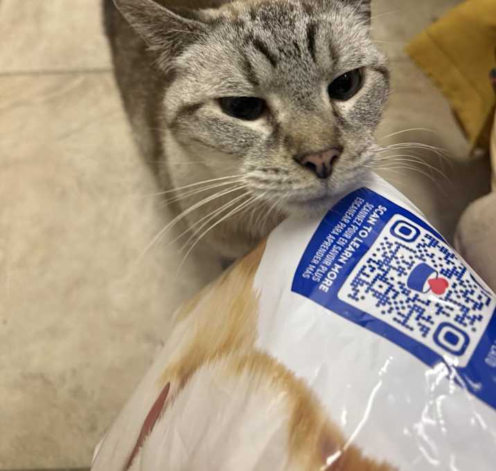 Photo of Coco