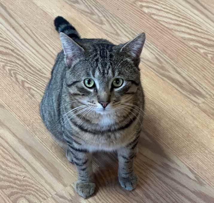 Photo of Pixie