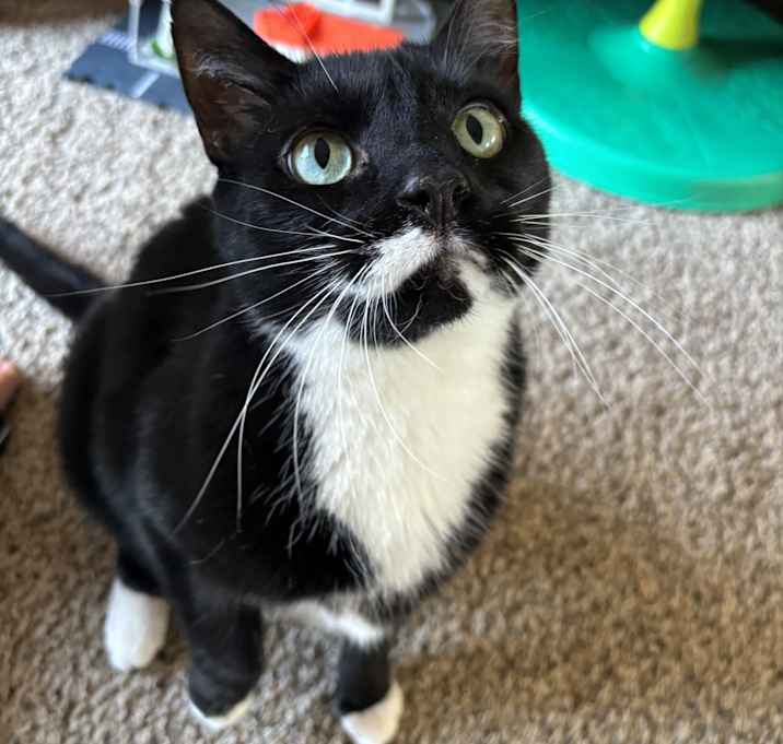 Photo of Willy