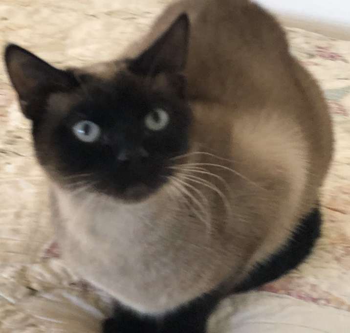 Photo of Baby Girl