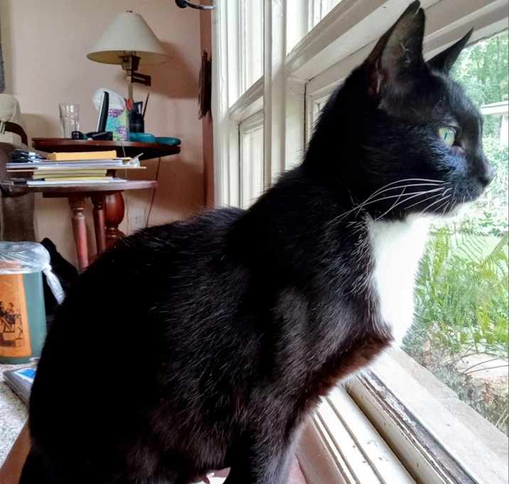 Photo of Sophie