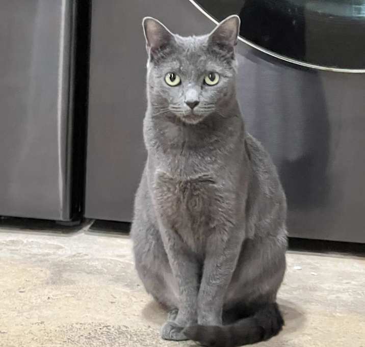Photo of Astra