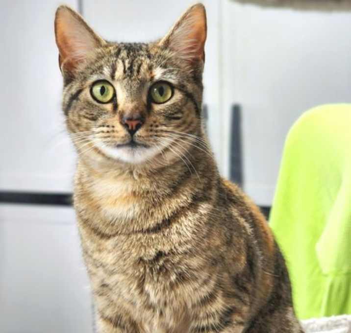 Photo of Eleanore