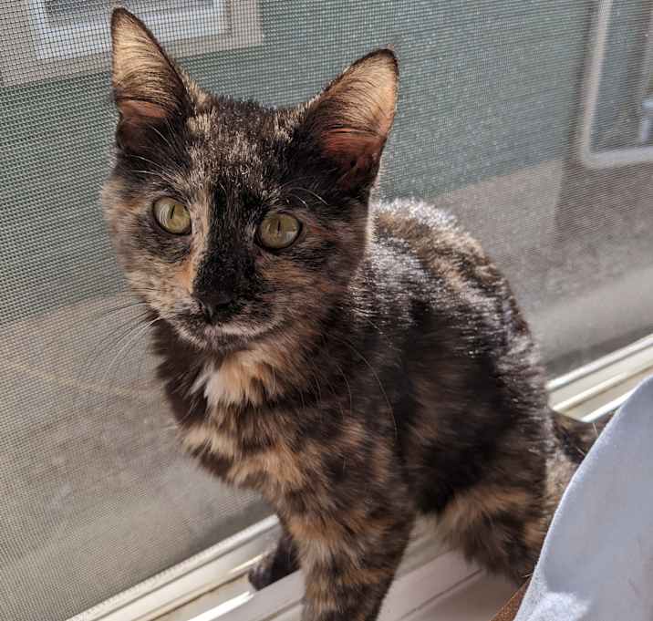 Photo of Edwina