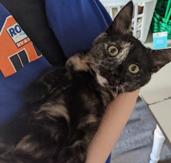 Photo of Mae