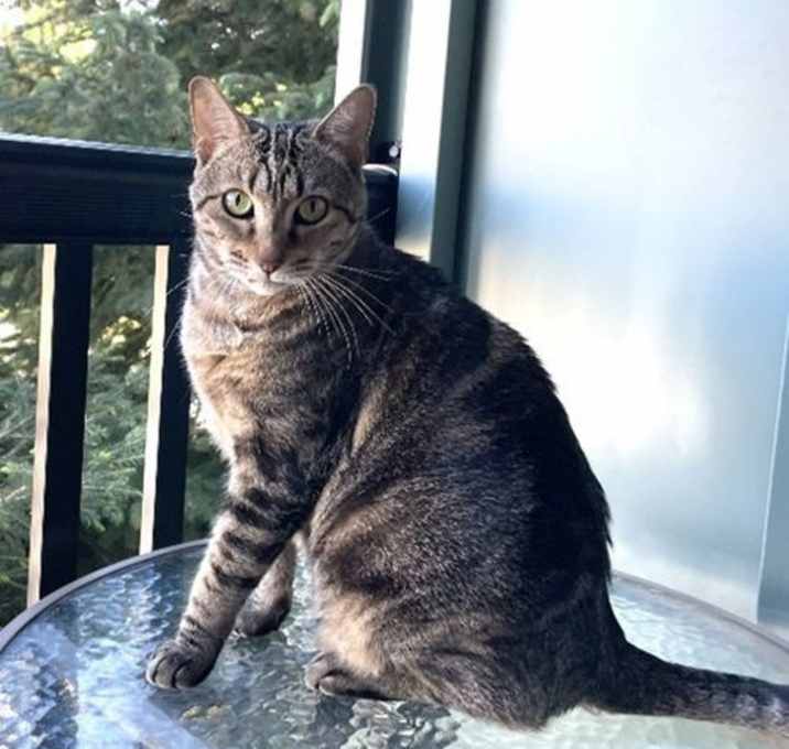 Photo of Cleo