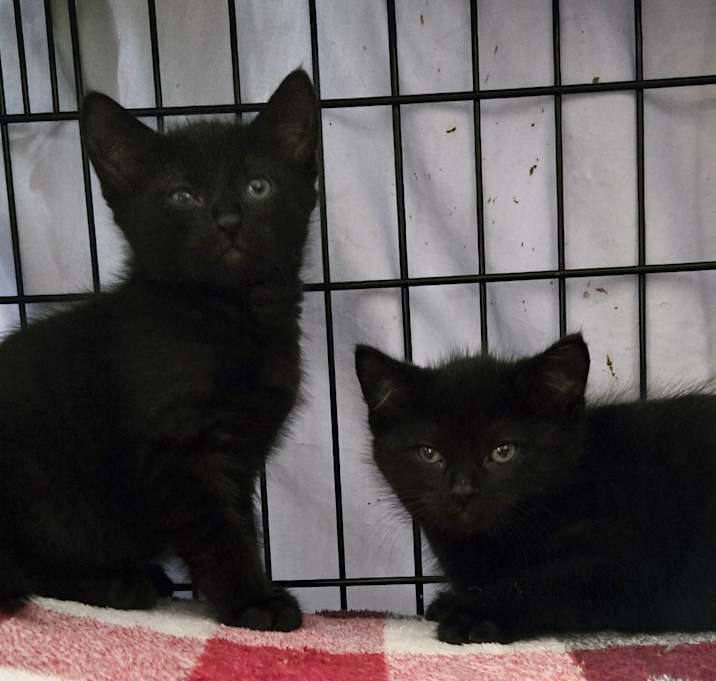 Photo of The Boys