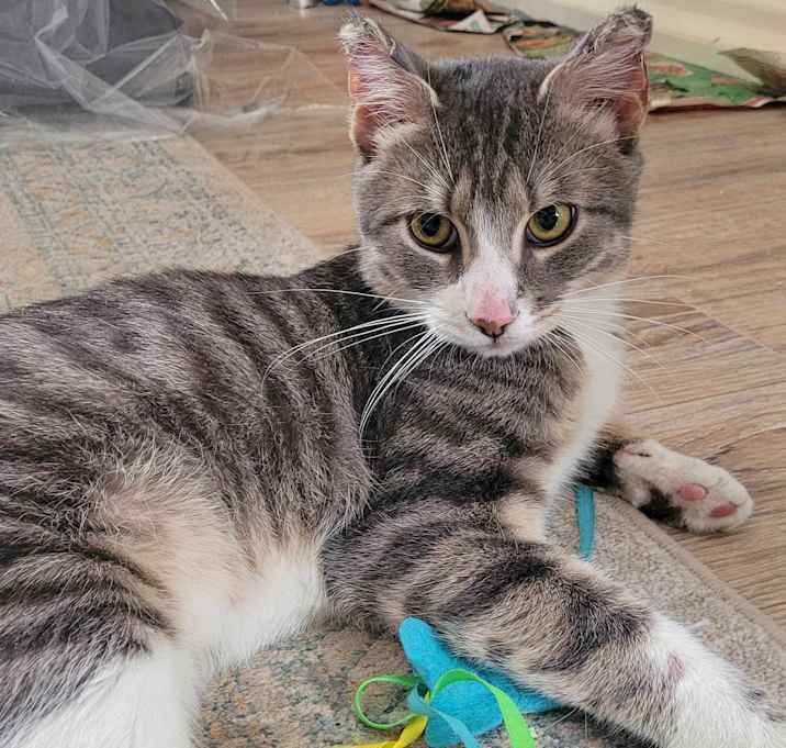 Photo of Stormy