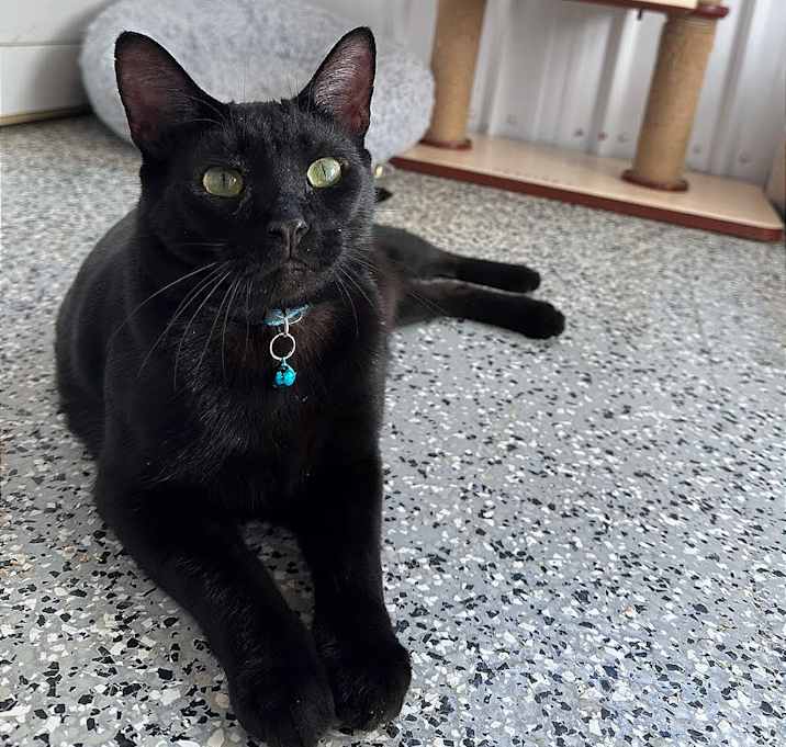 Photo of Neo