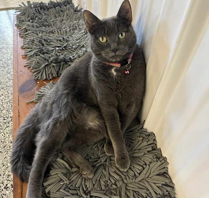 Photo of Alice