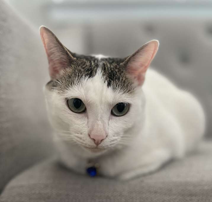 Photo of Ellie Bean
