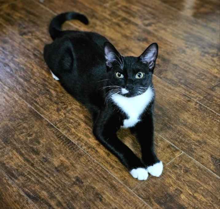 Photo of Gretchen
