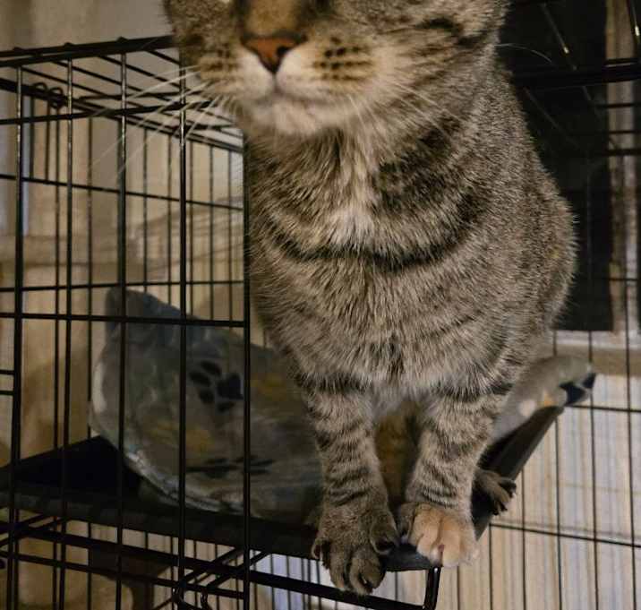 Photo of Puka