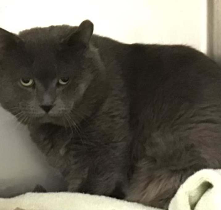 Photo of GRUMPY