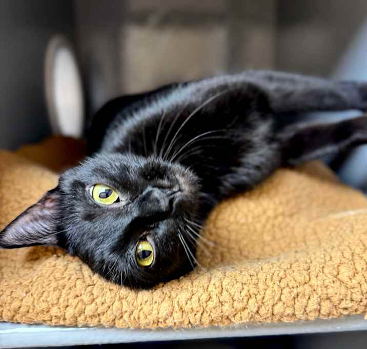 Photo of Matilda