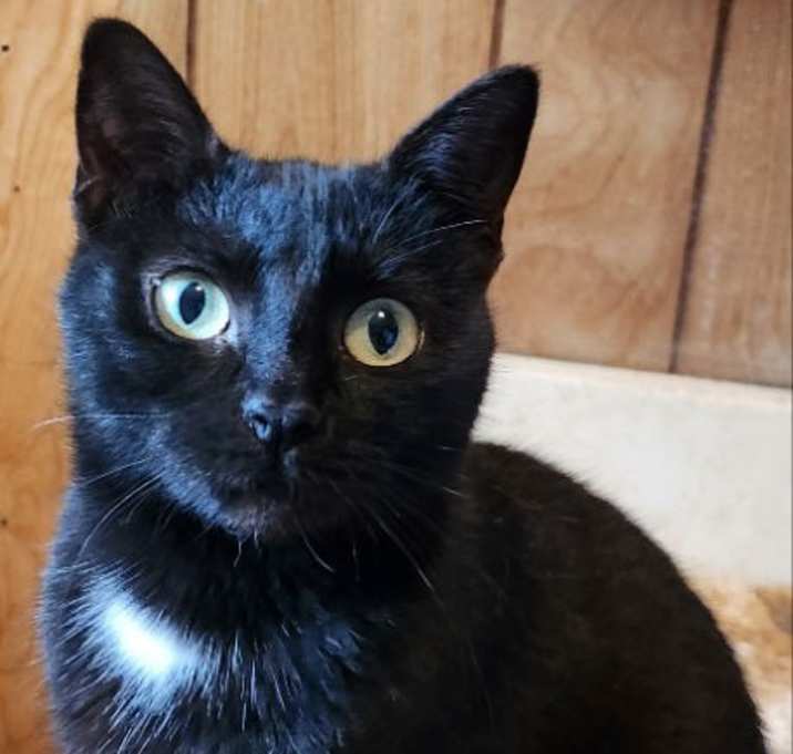 Photo of Missy