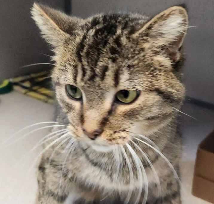 Photo of Dorothy