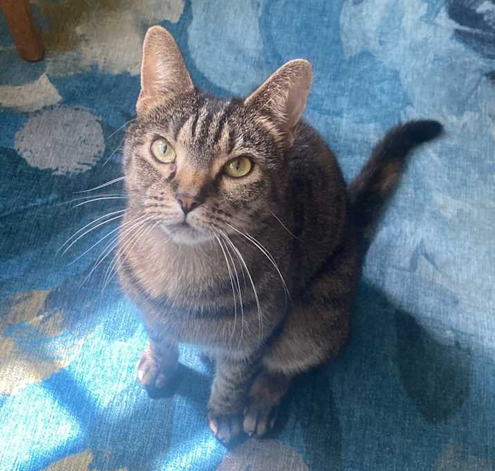 Photo of Mushu