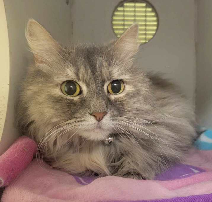 Photo of Harriet