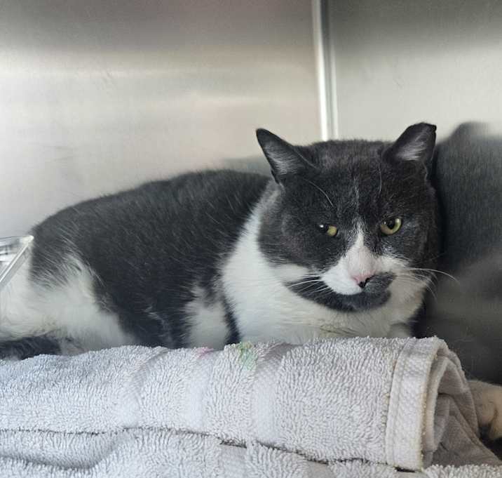 Photo of Groucho
