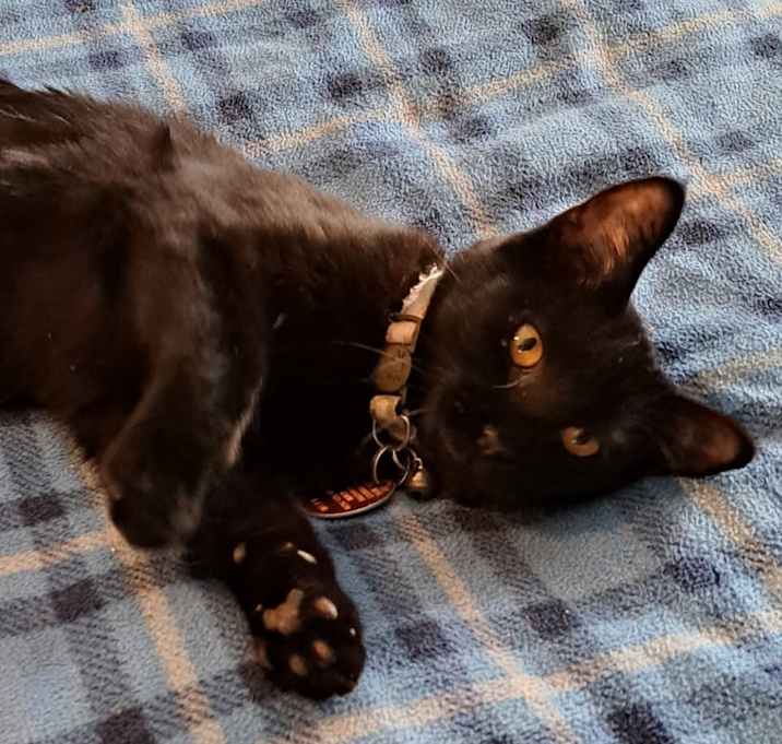 Photo of Zara