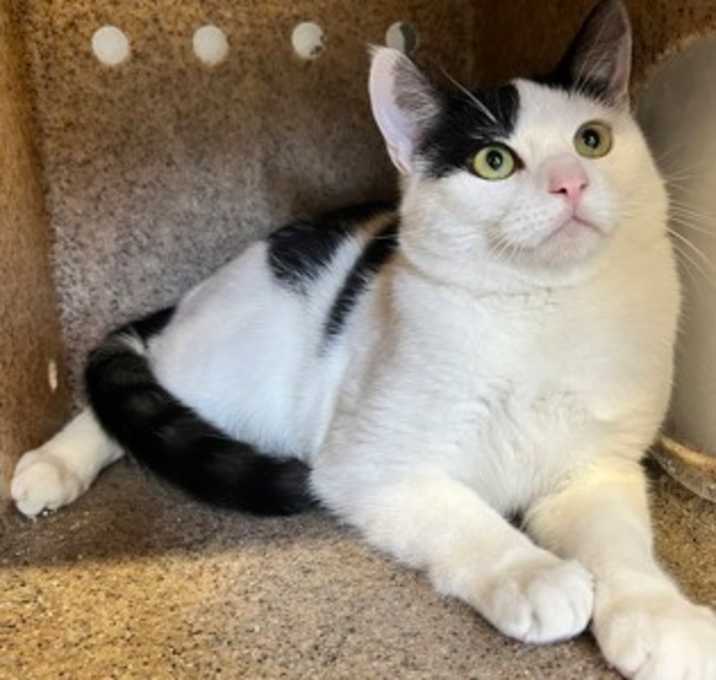 Photo of Catrick Swayze