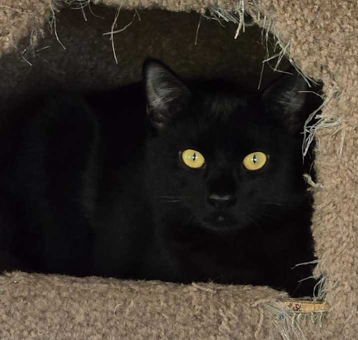 Photo of Chloe
