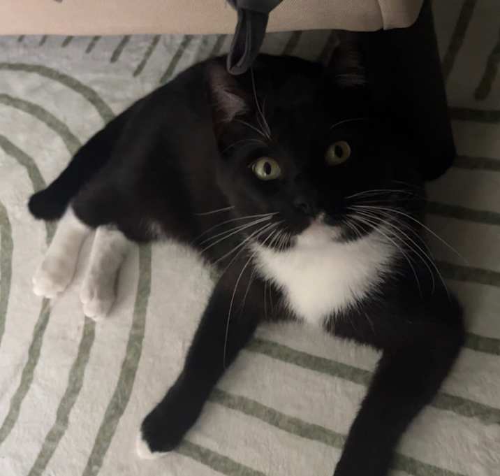 Photo of Eddy