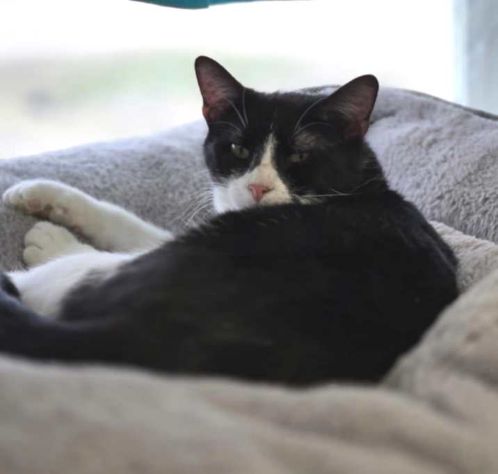 Photo of Whiskey