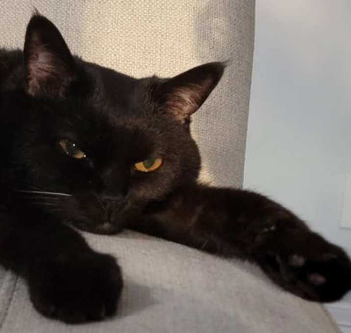 Photo of Jax