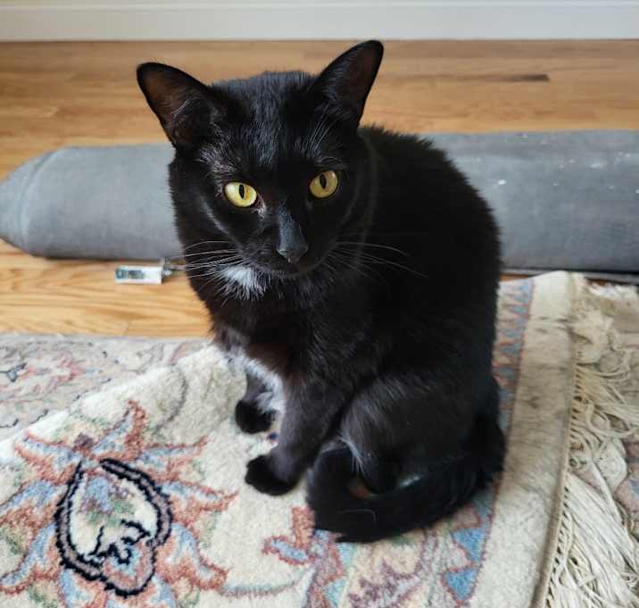 Photo of Marcy