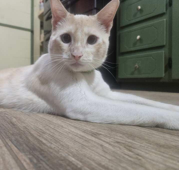 Photo of Sokka