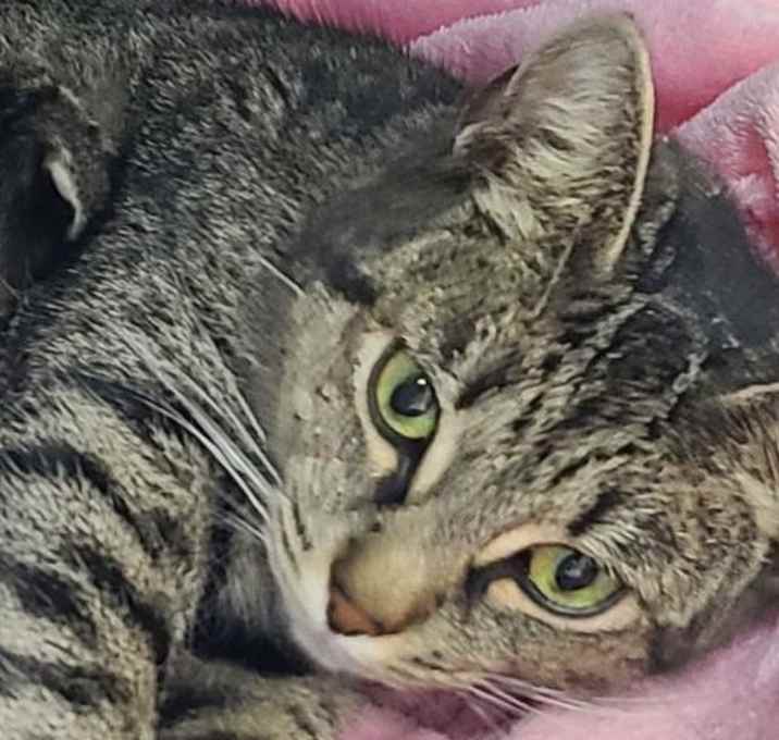 Photo of Dottie
