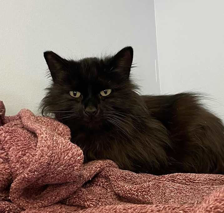 Photo of Jasper