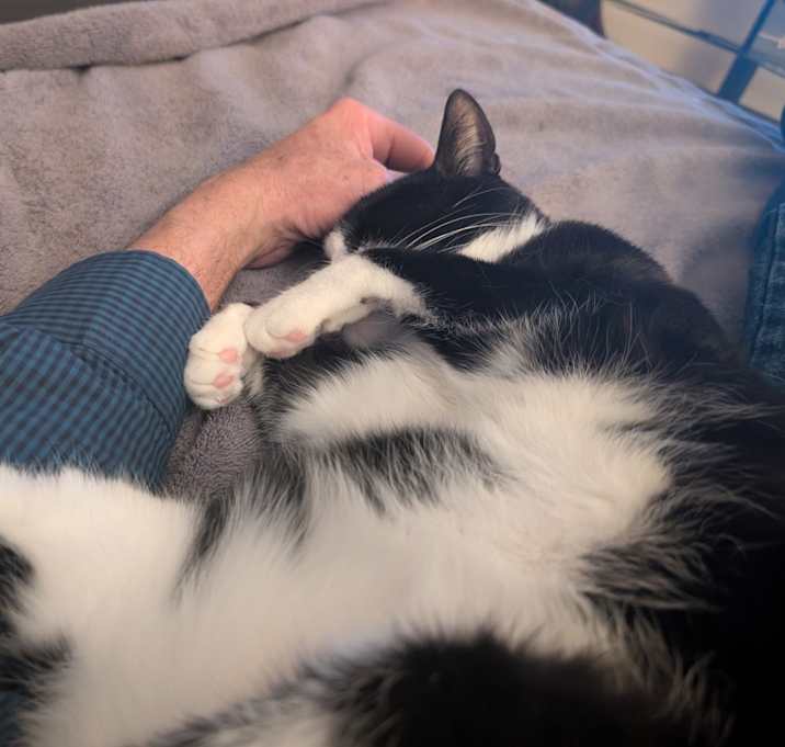Photo of Jax