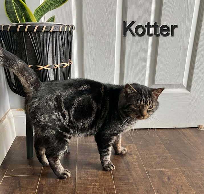 Photo of Kotter