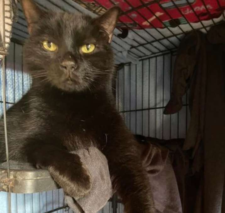 Photo of Ziggie