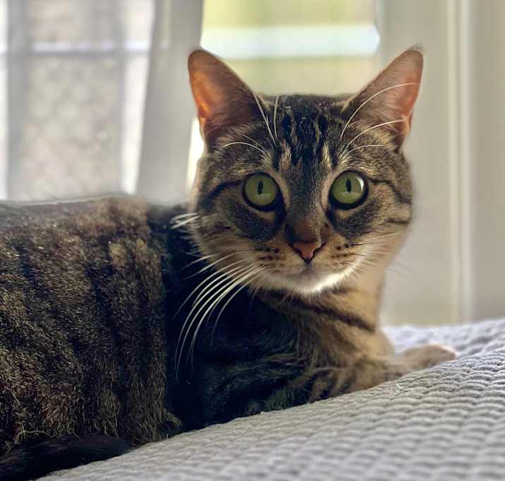 Photo of Fabbie