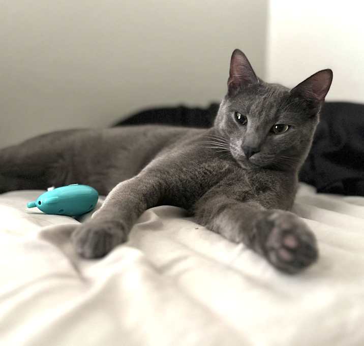 Photo of Benjamin
