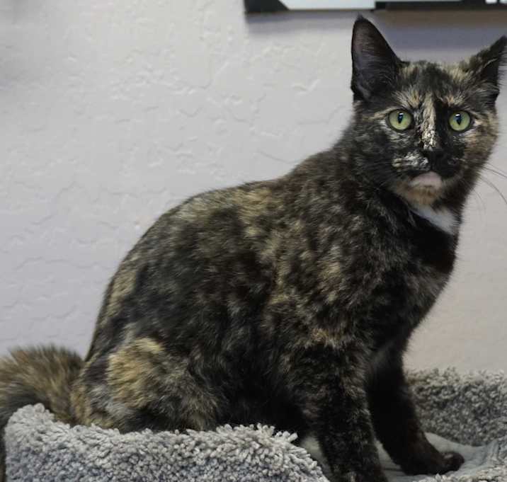 Photo of Zippy