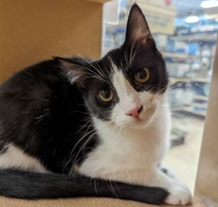 Photo of Skittles