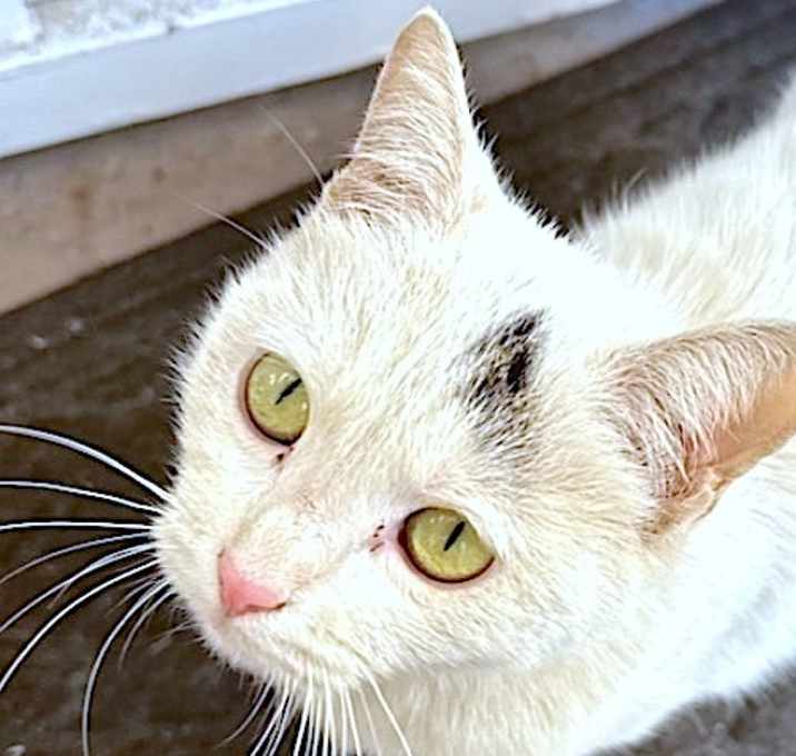 Photo of AMY